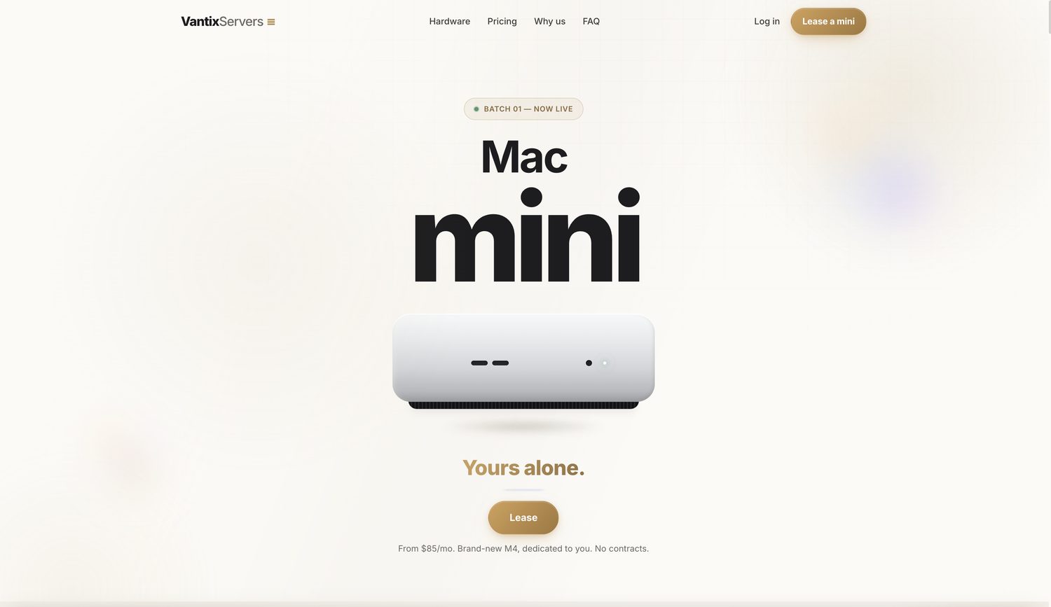 vantixservers.com — website built by Vantix